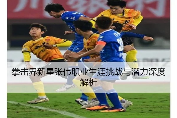 拳击界新星张伟职业生涯挑战与潜力深度解析